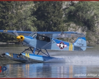 TSR Watermark - 0233